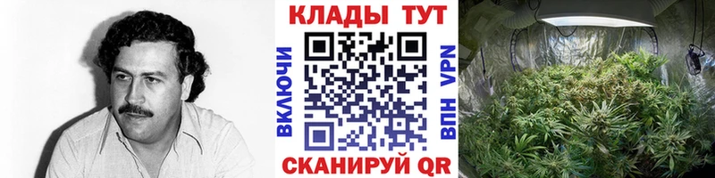 Купить Гашиш  Марихуана  СК  Мефедрон  Гай