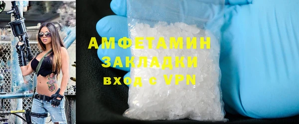 индика Богородицк