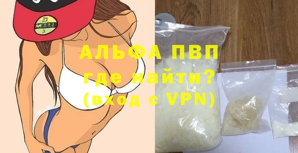 индика Богородицк