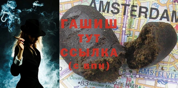 индика Богородицк