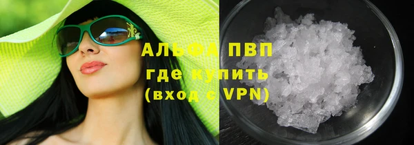 индика Богородицк
