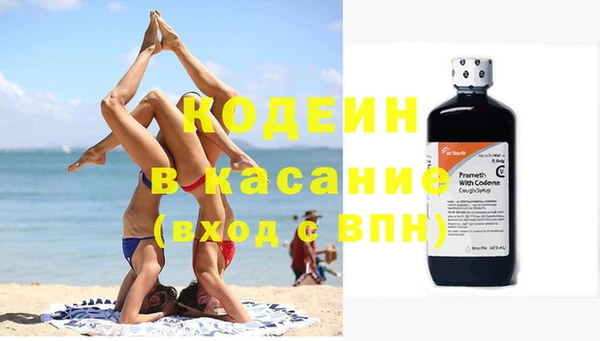 твердый Богданович
