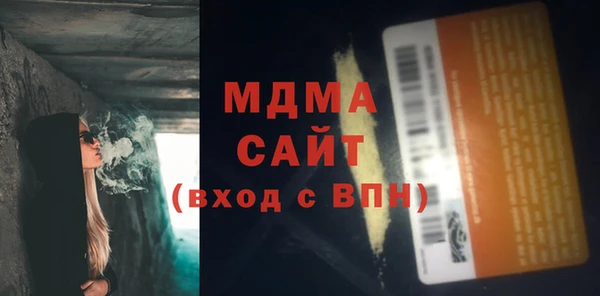 индика Богородицк