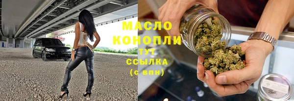 индика Богородицк