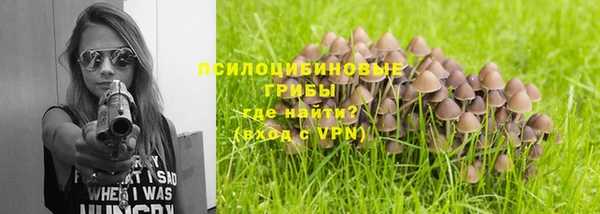 Альфа ПВП Богородск