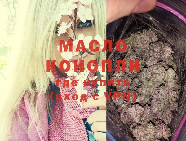 индика Богородицк