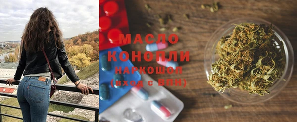 индика Богородицк