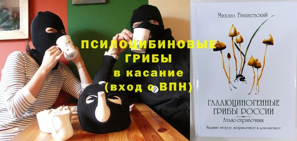 Альфа ПВП Богородск