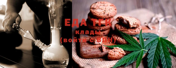 индика Богородицк