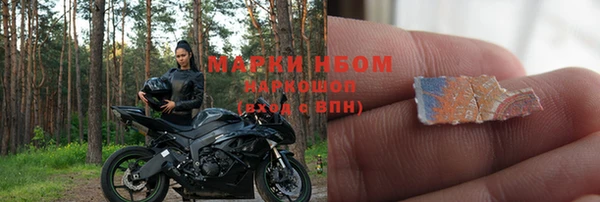 индика Богородицк