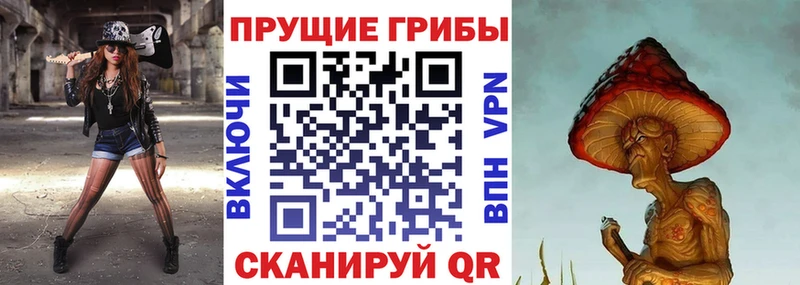 Купить где  Гай  Галлюциногенные грибы ЛСД 